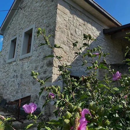 Villa Lenna