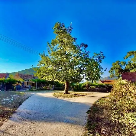 Lenna * Trebinje